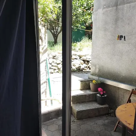 Dalma * 伯德古拉