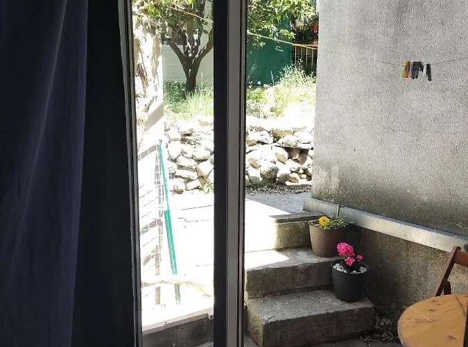 Dalma * פודגורה